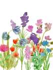 Wildflower Field 1 Art Print