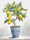 Lemons Art Print