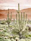 Desert Hills 1 Art Print
