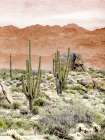 Desert Hills 3 Art Print