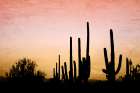 Desert Silhouette Art Print