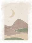 In The Desert 2 Art Print