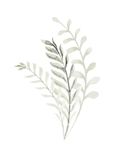 Foliage Sage 2 Art Print