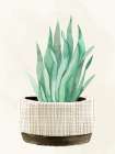 Textured Pots 1 Art Print