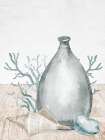 Sea Glass Shells 2 V2 Coastal Print