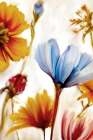 Wild Spice 2 Art Print