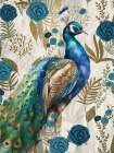 Peacock Pride 1 Art Print