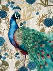 Peacock Pride 2 Art Print