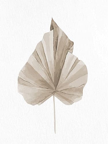 Dried 2 Art Print