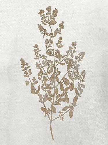 Pressed Branch 1 Minimalist Print