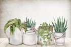 Tin Plants Botanical Print