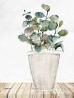 White Potted 2 Botanical Print