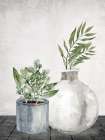 Stone Greens 2 Botanical Print