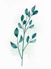 Vivid 1 Botanical Print