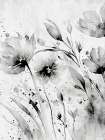 Wild Black and White 1 Art Print