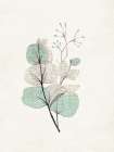 Linen Petals 1 Botanical Print