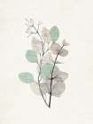 Linen Petals 2 Art Print