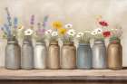 Painted Jars Art Print