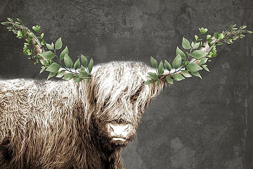 Highland Greens Animals Print