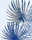 Blue Tropical 1 Coastal Print