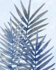Blue Tropical 2 Coastal Print