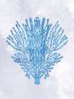 Coral Blue 1 Art Print