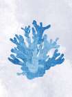 Coral Blue 2 Art Print