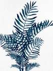 Natural Blue Palms 1 Coastal Print