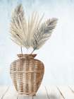 Rattan Palms 1 Art Print