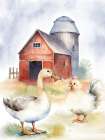 Farmyard Talk 1 Art Print