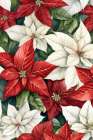 Poinsettia Red And White Art Print