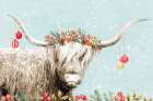 Highland Christmas Cow Art Print