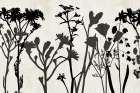 Field Of Stems Art Print