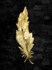 Feather On Black 1 Art Print