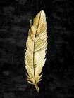 Feather On Black 2 Art Print