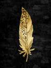 Feather On Black 3 Art Print