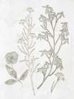 Plaster Floral 1 Art Print