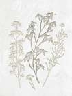 Plaster Floral 2 Art Print