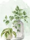 Grateful 7 Botanical Print