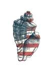 American Shell 3 Art Print