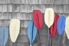 USA Paddles Art Print