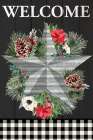 Christmas Star Art Print