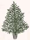 Oh Tree Art Print