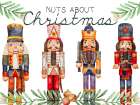 Nuts Art Print
