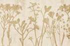 Neutral Stems Art Print