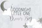 Goodnight Art Print