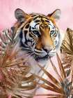 Pink Palm Tiger 1 Art Print