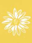 Summertime Daisy 2 Art Print
