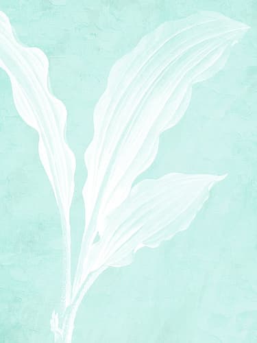 White Palm 1 Art Print