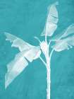 White Palm 2 Minimalist Print